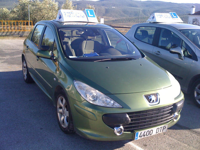 Perfil Peugeot 307