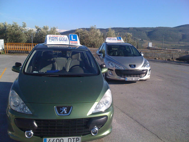 Peugeot 307 y 308 en pista