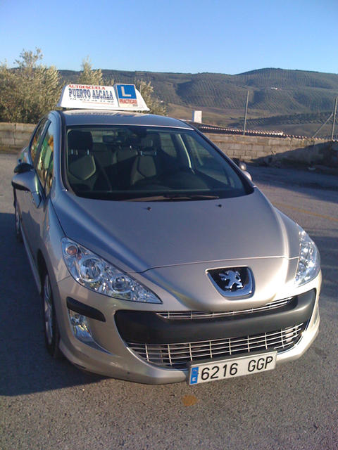 Perfil Peugeot 308